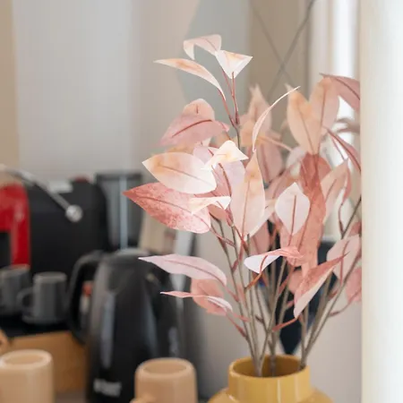 Light View Pensionat 3*